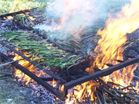 Una calçotada popular protagonitza els actes d'agenda del cap de setmana