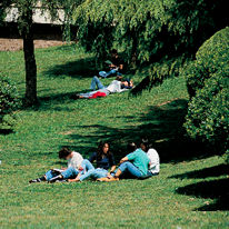 La UAB posa en marxa un servei d'informació als estudiants de primer curs