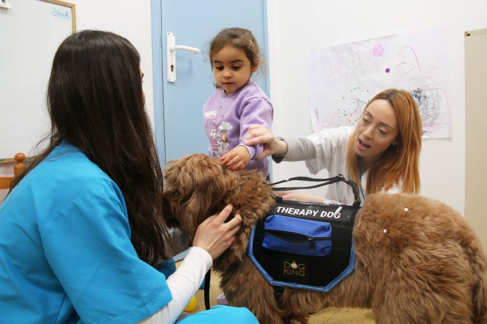 La intervenció assistida amb gossos beneficia 106 pacients pediàtrics del CDIAP del Parc Taulí