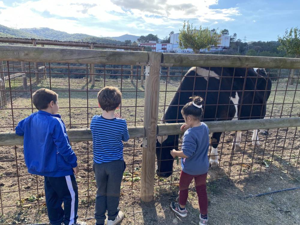 El Parc de Collserola reobre la inscripció del programa d'activitats per a escoles