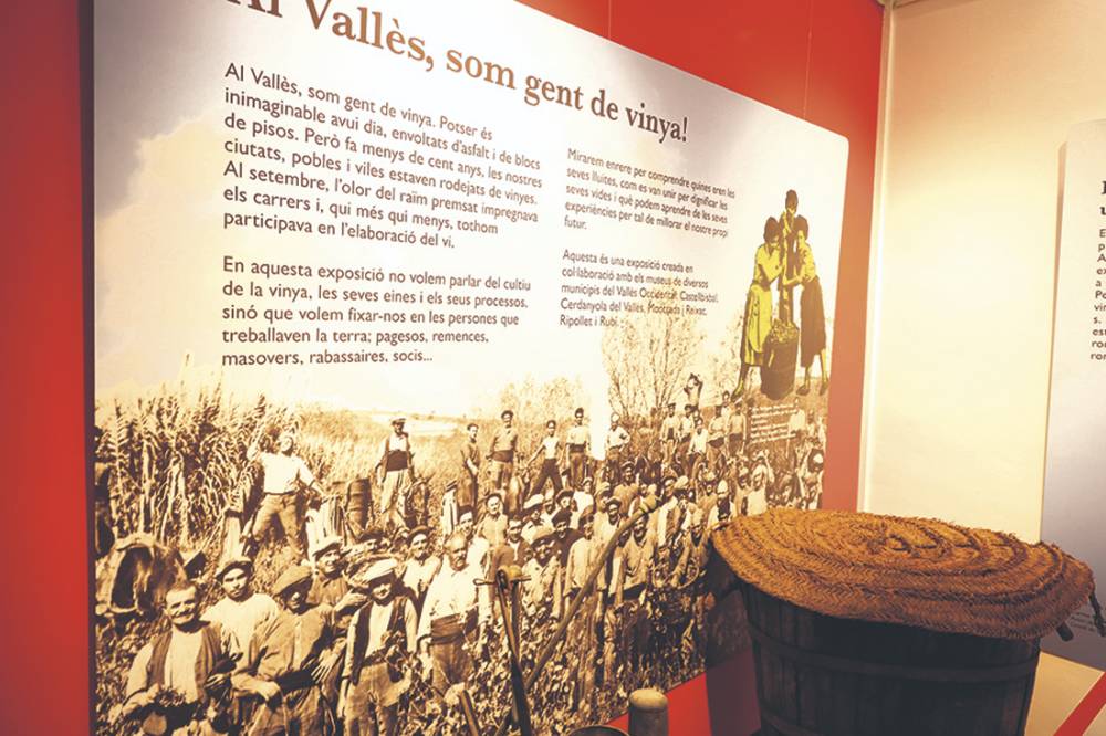 El Museu de Ca n'Oliver acollirà l'exposició 'Al Vallès, som gent de vinya'