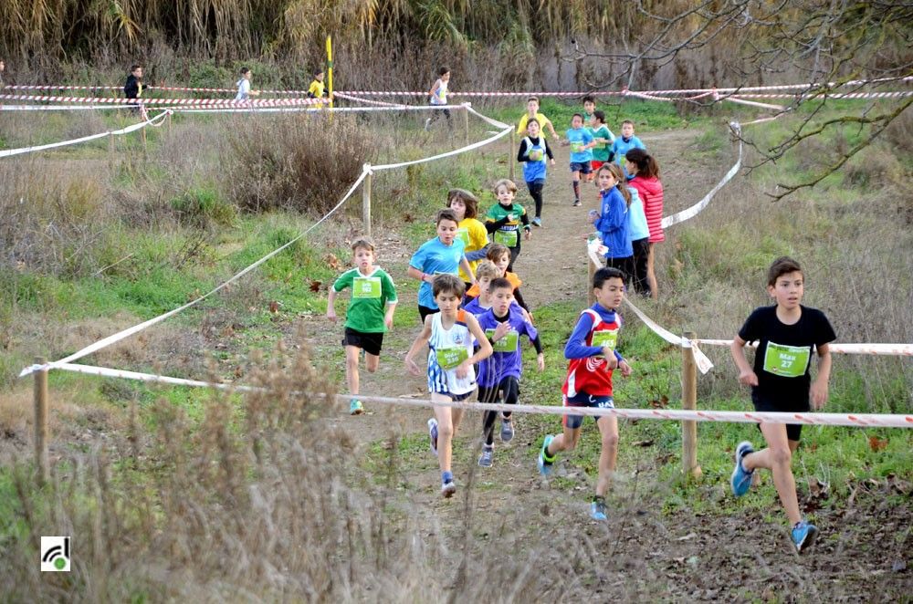 El Cros Ciutat de Cerdanyola aplega a 670 participants