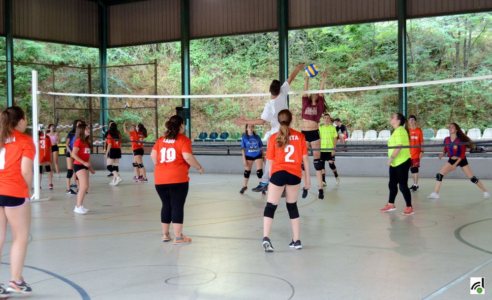 El COVID -19 atura les competicions esportives catalanes