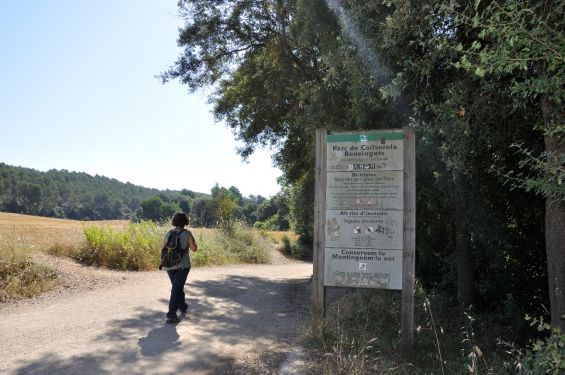 Normativa i recomanacions per a l’activitat física i passejos al Parc de Collserola