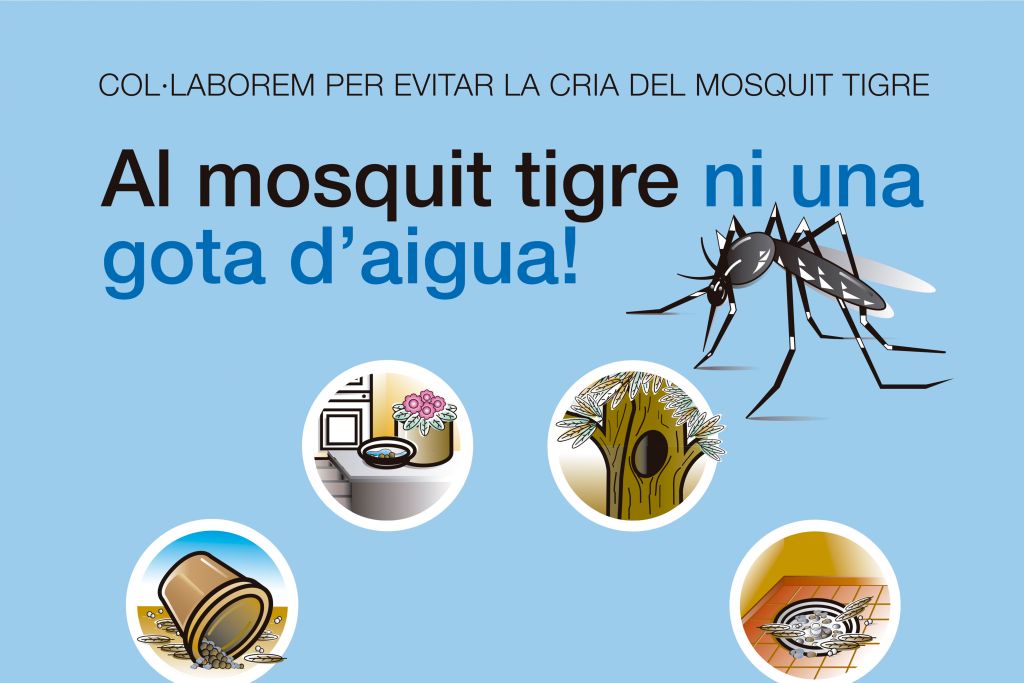 Al mosquit tigre ni una gota d’aigua!