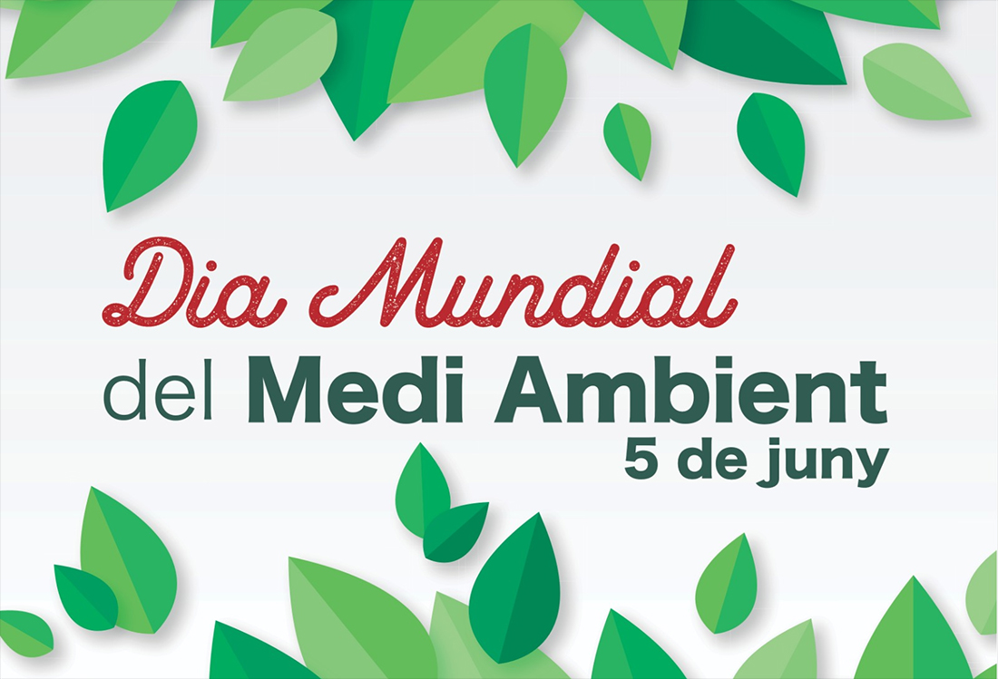 Activitats virtuals per celebrar el Dia Mundial del Medi Ambient