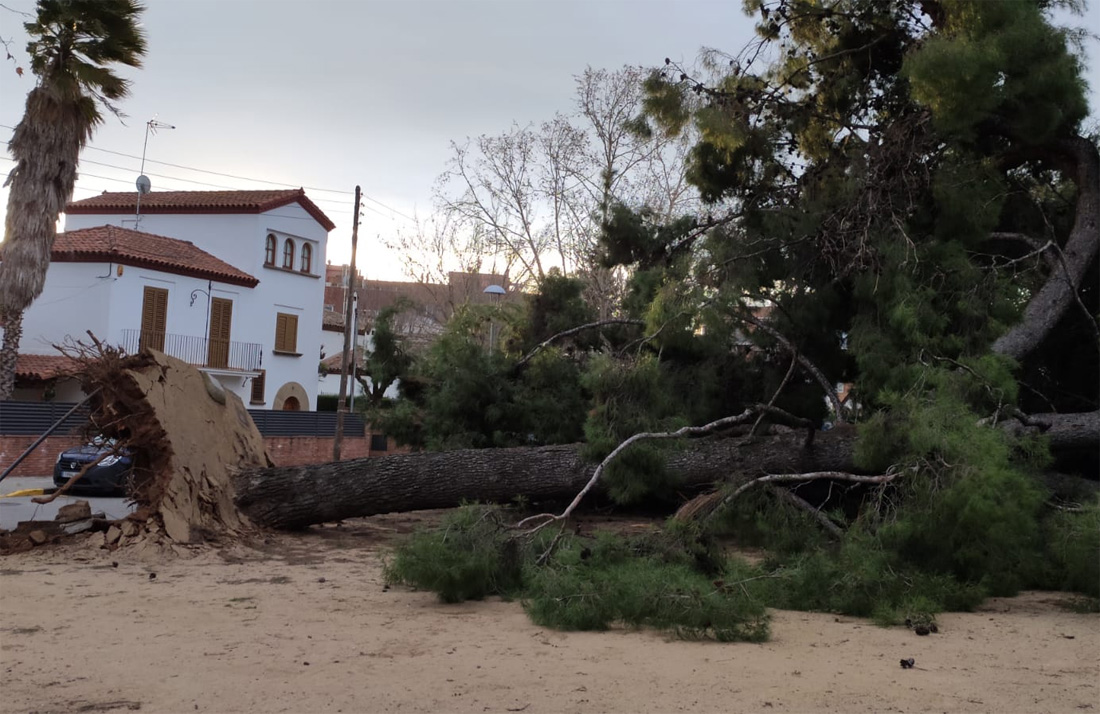 Protecció Civil posa en alerta el Pla per risc de ventada