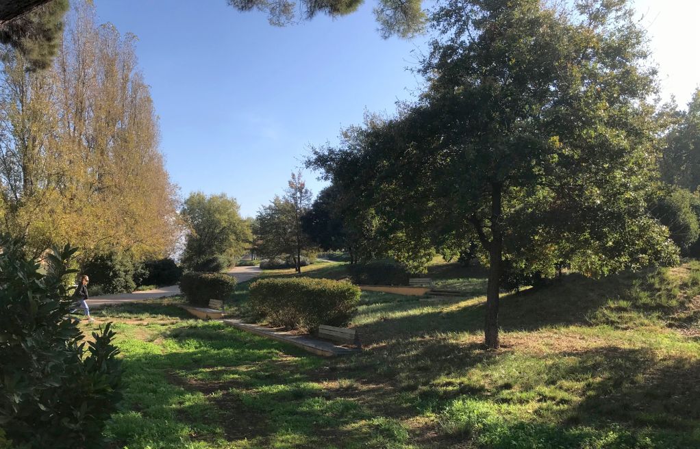 Tasques de manteniment als parcs metropolitans per conservar la bona qualitat de la vegetació