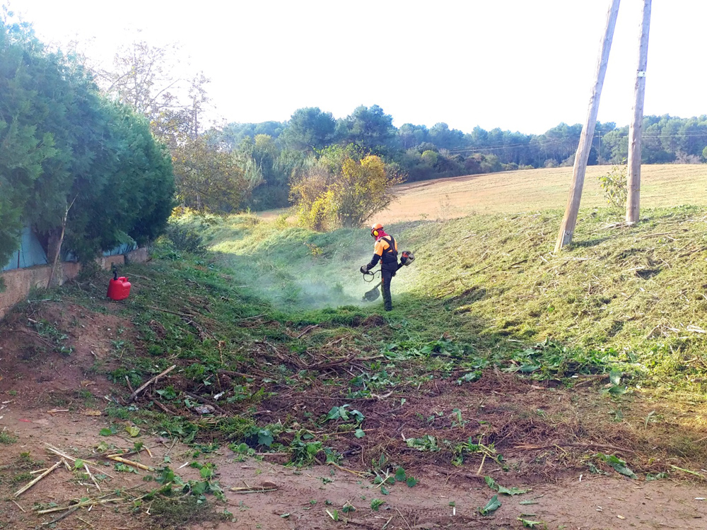 En marxa els treballs forestals de neteja de la franja de protecció contra incendis a Montflorit