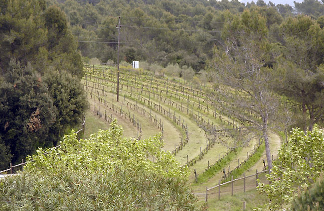 El Consell Comarcal recupera la memòria agrícola del Vallès Occidental