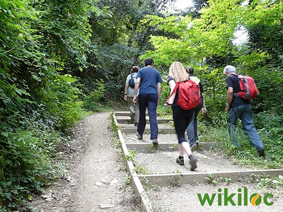 Collserola entra a la wikiloc de la mà de la Xarxa de Parcs de la Diputació