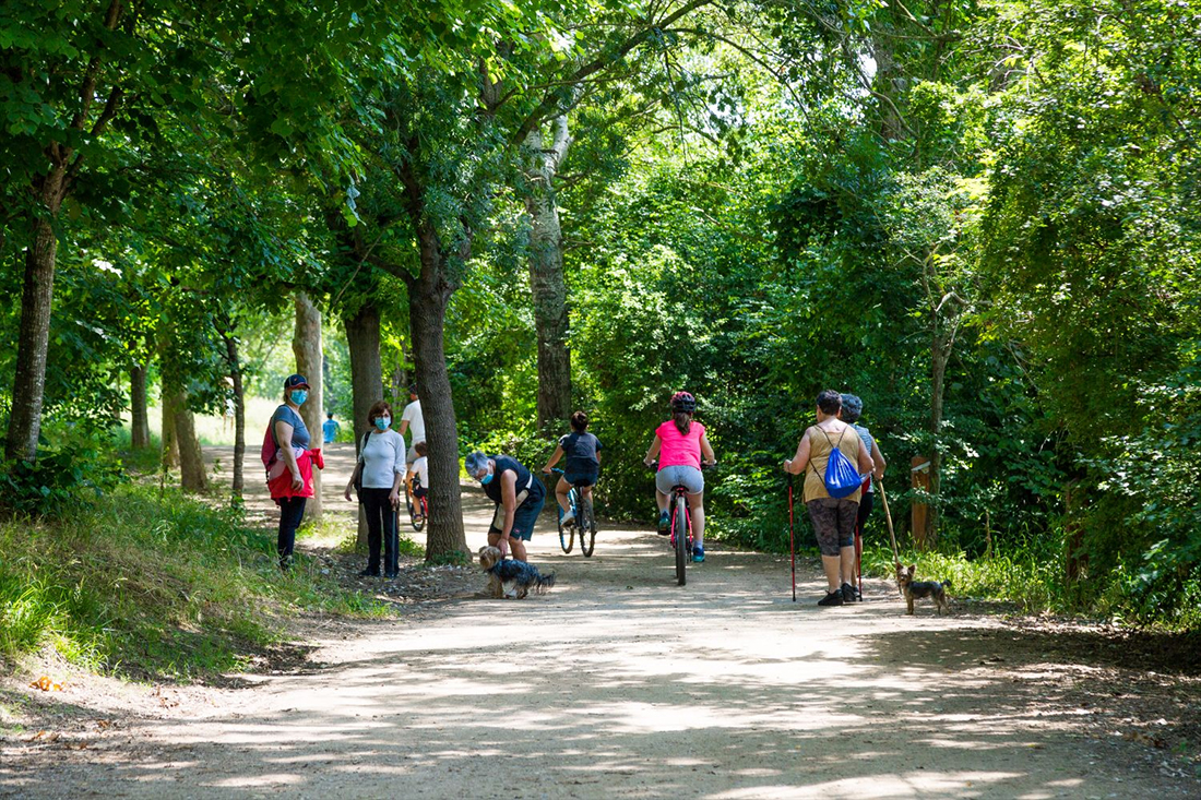 Collserola reforça la divulgació de les bones pràctiques davant l'increment de visitants