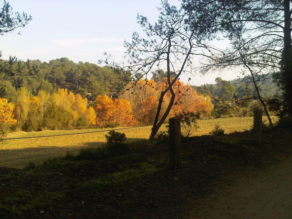 Fins al 15 d’octubre no es pot fer foc als terrenys forestals sense autorització