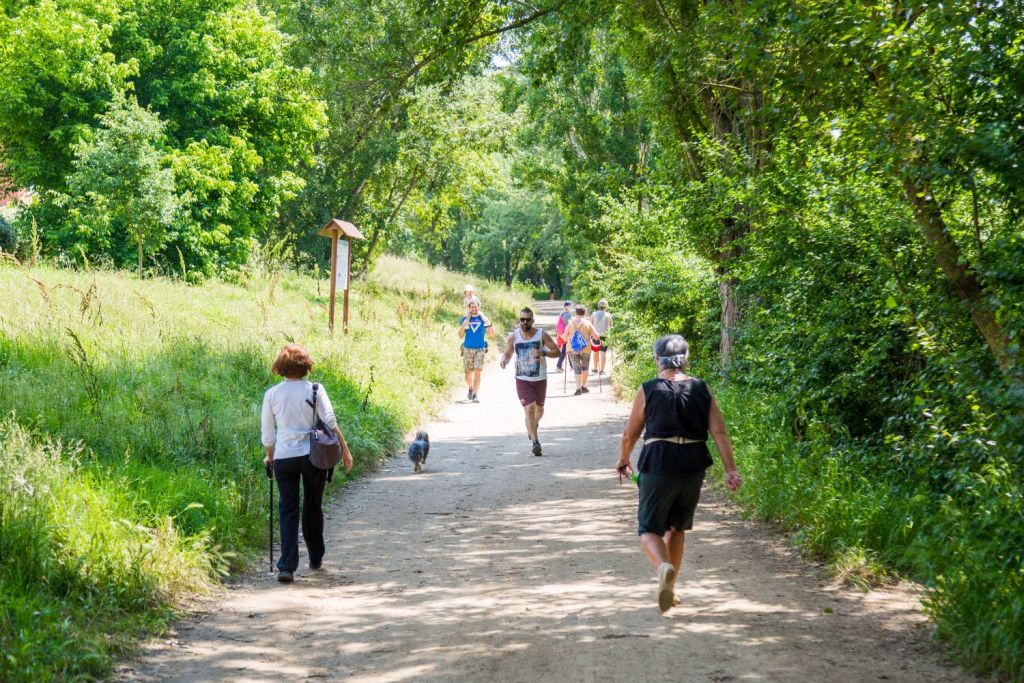 La Generalitat ha aprovat definitivament el Pla especial de protecció del medi natural i del paisatge del Parc Natural de la Serra de Collserola