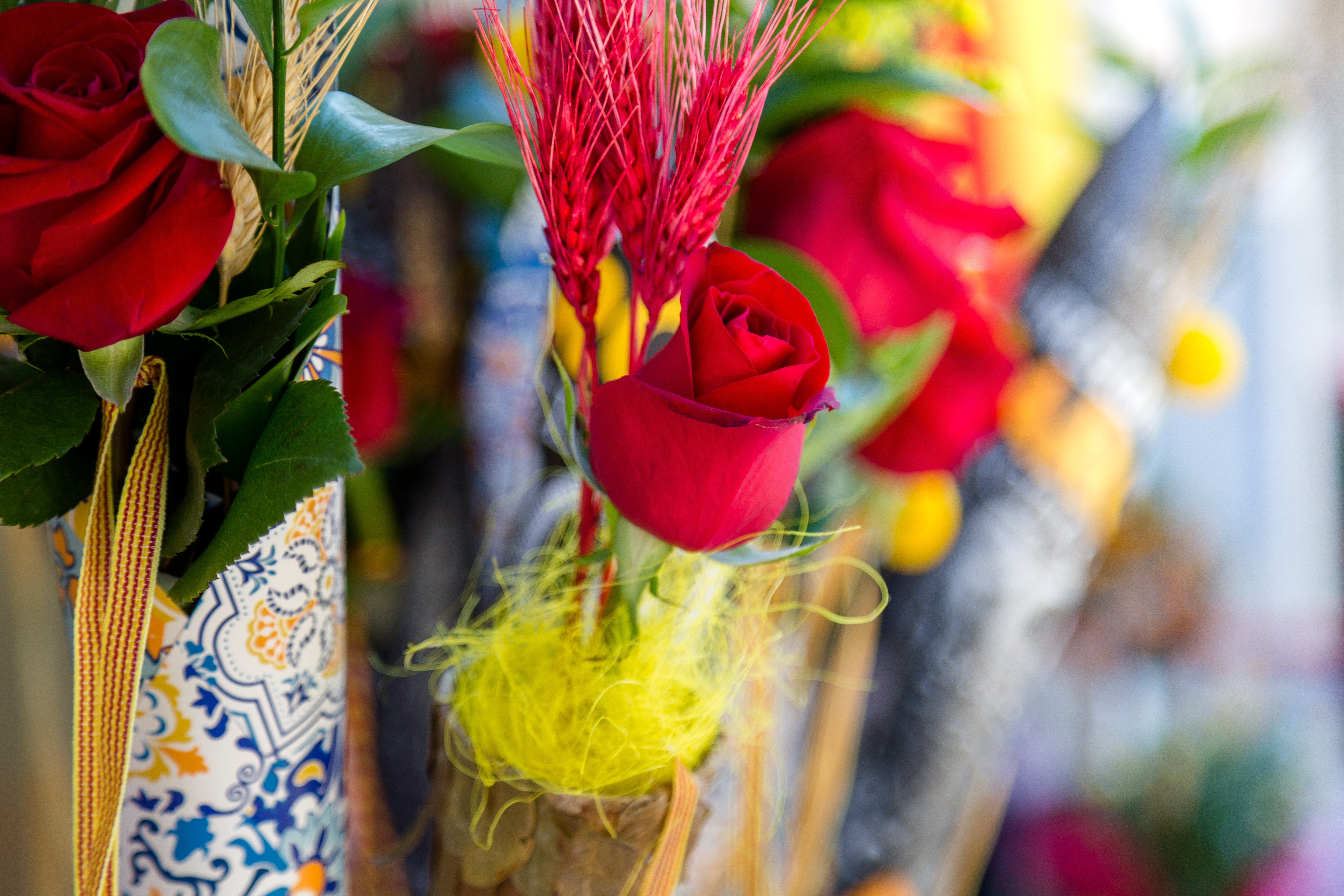 Sant Jordi combat el drac de la pandèmia