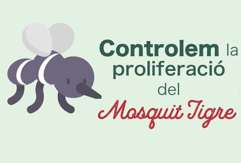 Campanya municipal de prevenció de la proliferació del mosquit tigre