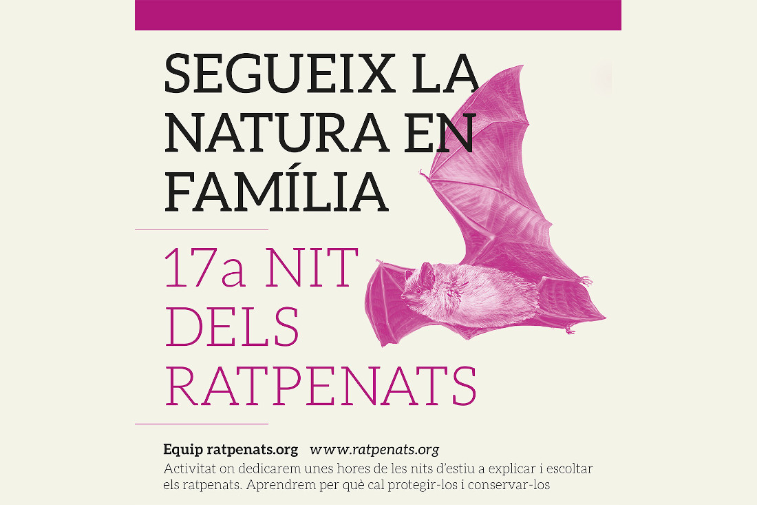 Nit de ratpenats a Collserola