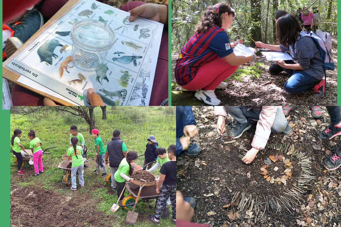 Collserola obre una nova edició del programa educatiu 'El Curs al Parc'